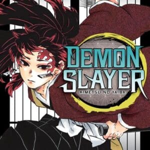 Demon Slayer - Kimetsu No Yaiba 20